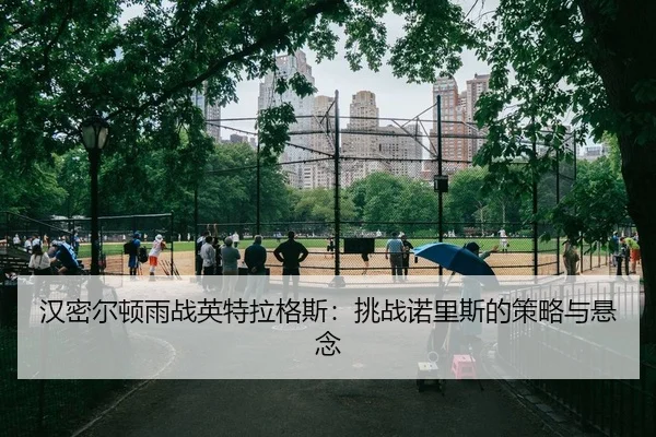 汉密尔顿雨战英特拉格斯：挑战诺里斯的策略与悬念